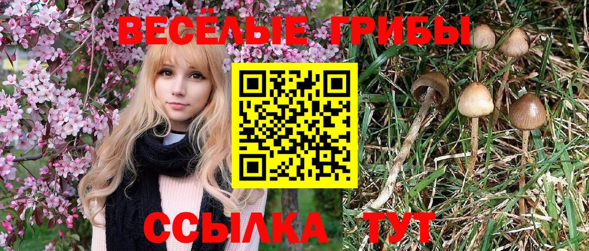 Псилоцибиновые грибы Magic Shrooms Волгоград