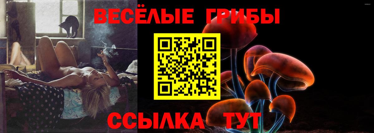 Волгоград  Галлюциногенные грибы MAGIC MUSHROOMS  Галлюциногенные грибы GOLDEN TEACHER  Вход с VPN 
